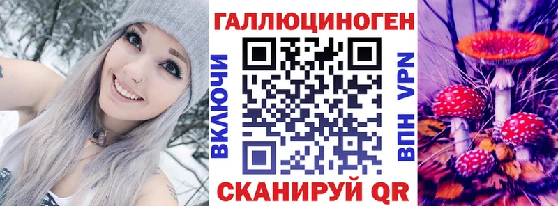 Купить Приморско-Ахтарск Псилоцибиновые грибы Cubensis